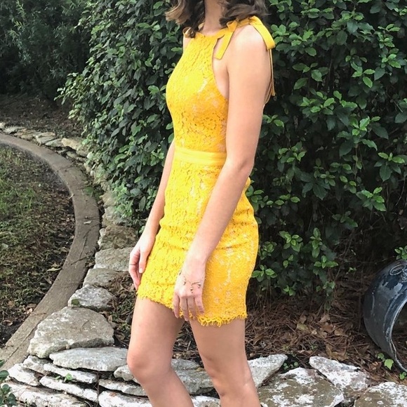 endless rose yellow lace cocktail dress - Picture 5 of 5